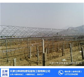 日光大棚助力邵陽城市形象提升——立輝潤悅建筑工程公司專業建設多圖賞析