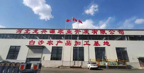 天天12條 愛心傳遞與政策調整，邯鄲展現溫暖城市形象